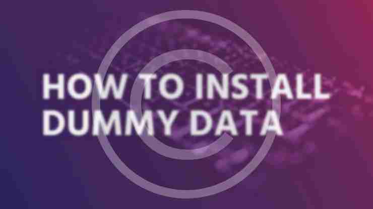 How to install dummy data